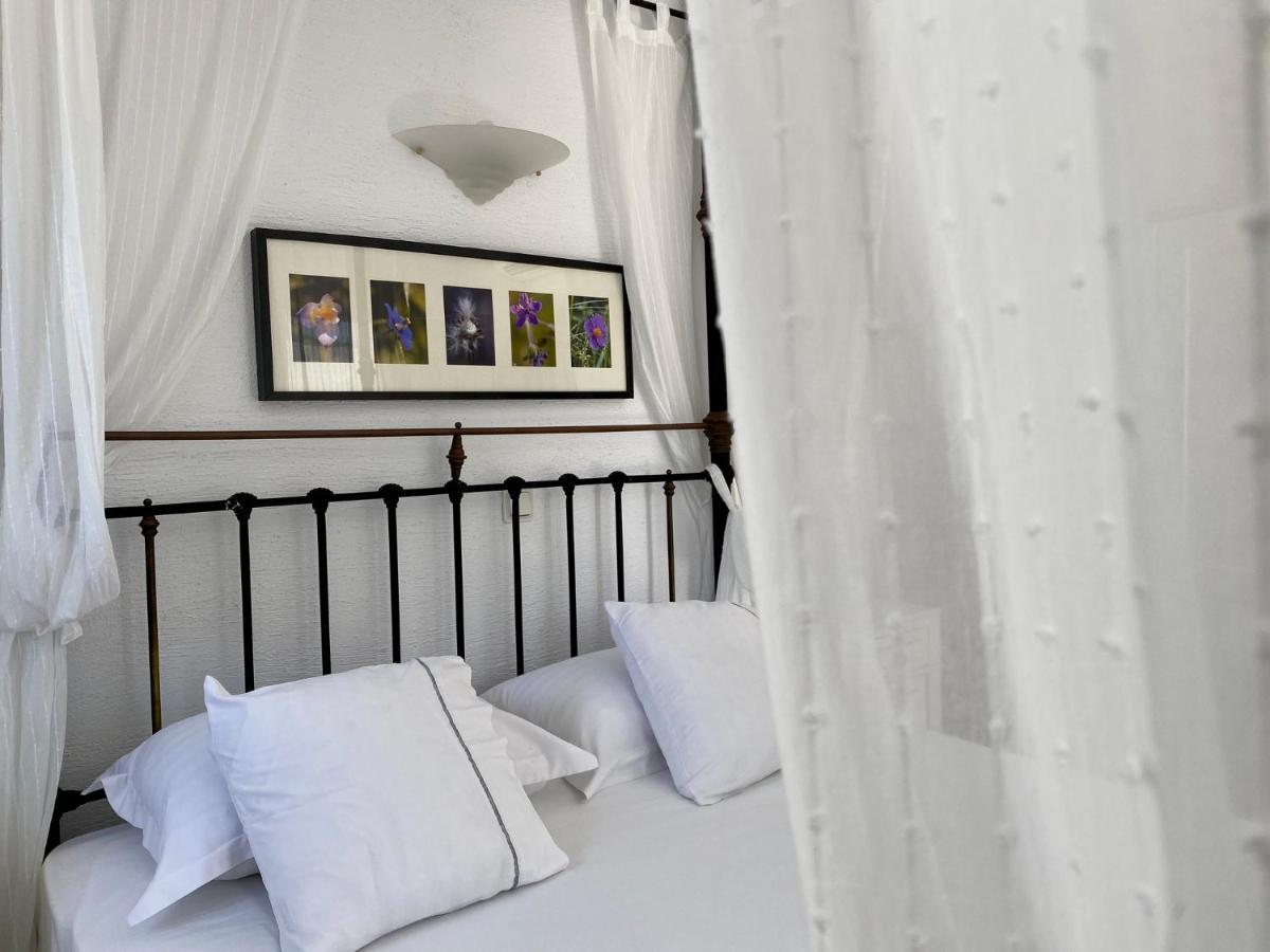 Aparthotel Anthos Náousa