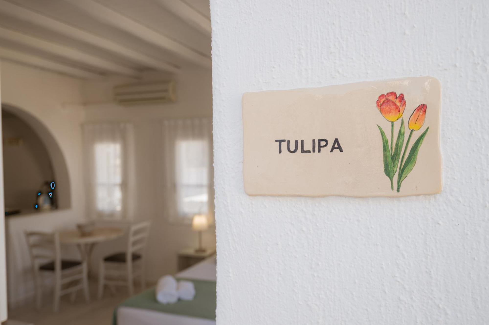 Anthos Aparthotel 3*
